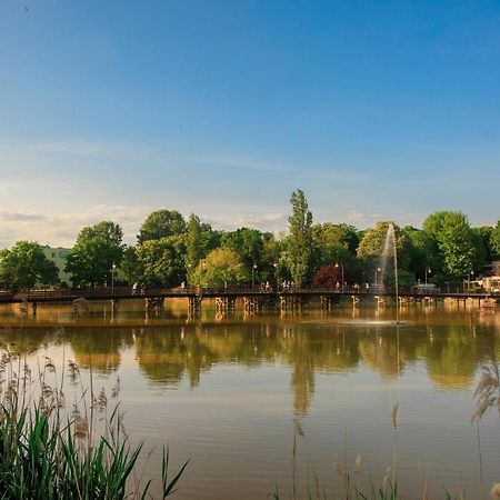Ferienwohnung Solankowe Zacisze Boho Inowrocław Exterior foto